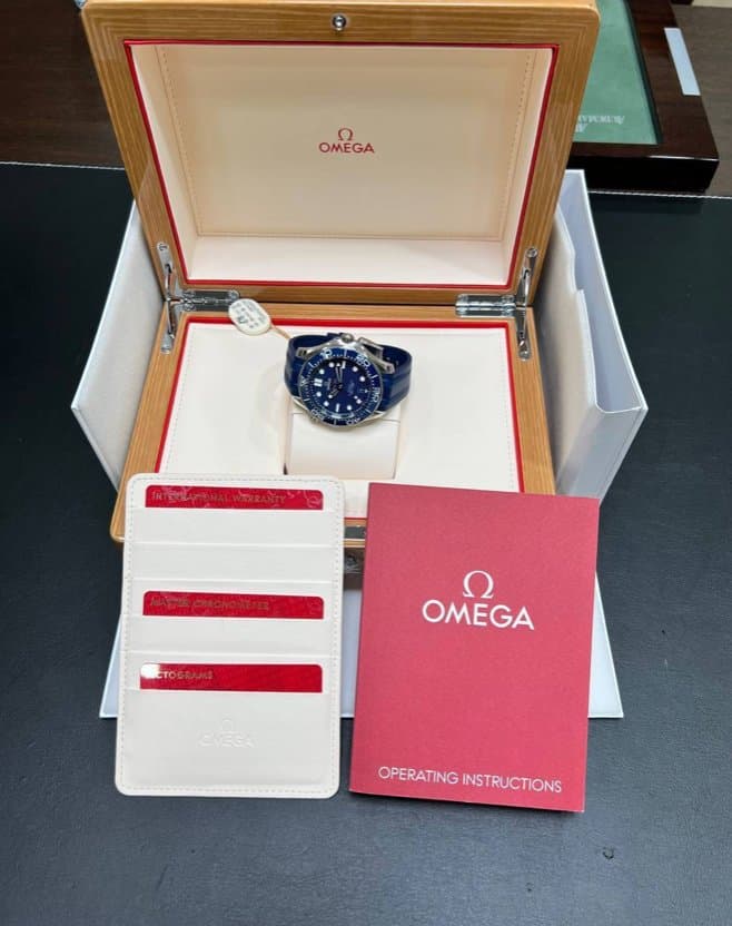 Omega Seamaster Diver 300M 10