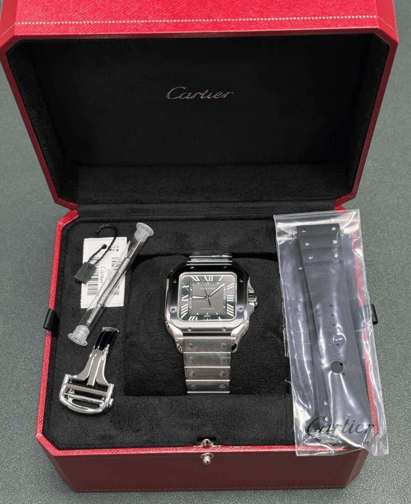 Cartier Santos de Cartier 9