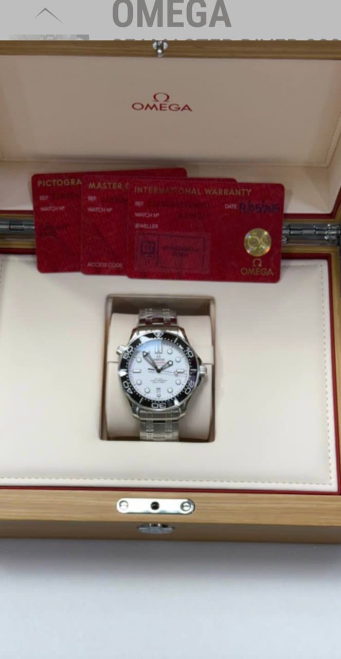 Omega Seamaster Diver 300M 8